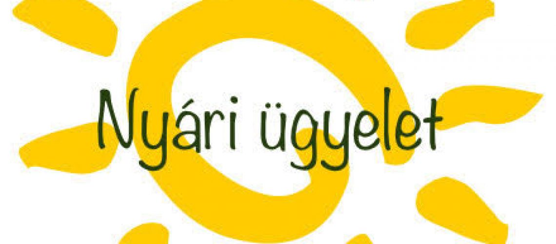 Nyari-ugyelet